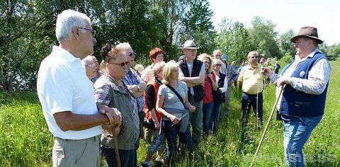 13.06.2015 - Artenreiche Blumenwiese